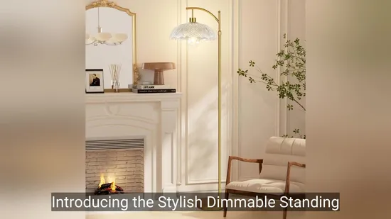 Stylish Modern Floor Lamp for Living Room and Bedroom 